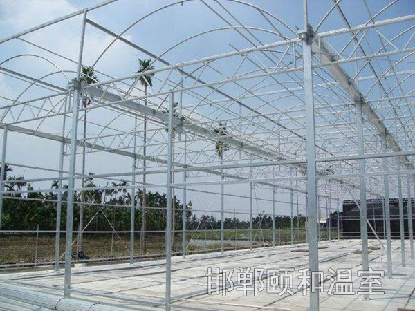 連棟薄膜溫室 (11)