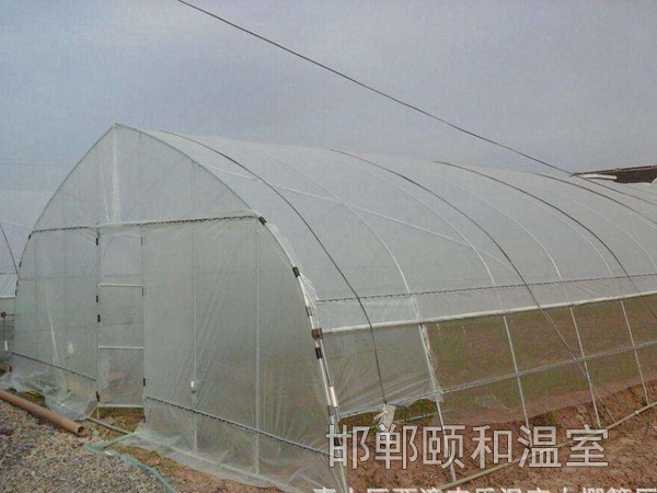 單體溫室 (6)