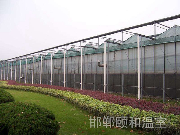 連棟玻璃溫室 (10)