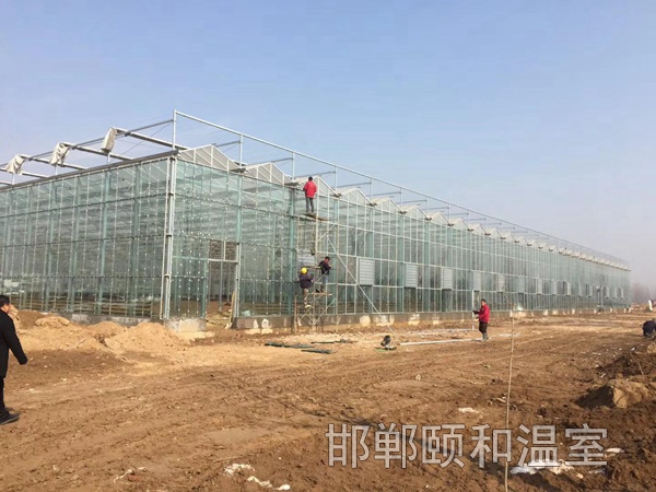 連棟玻璃溫室 (2)