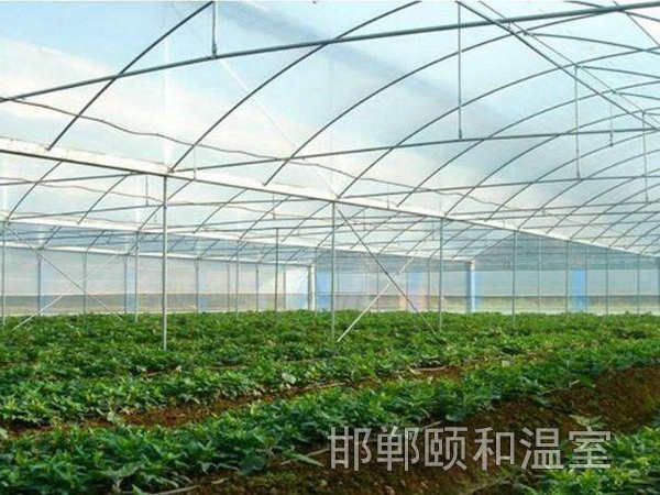 連棟薄膜溫室 (5)