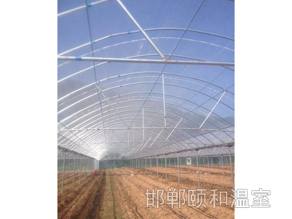連棟薄膜溫室 (13)
