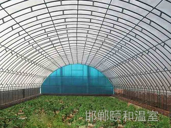 單體溫室 (1)