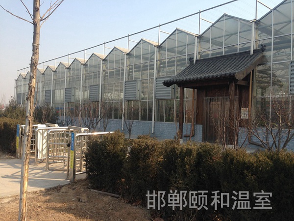 連棟玻璃溫室 (8)