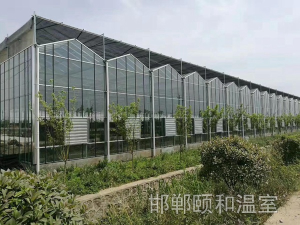 連棟玻璃溫室 (5)