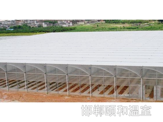 連棟薄膜溫室 (14)