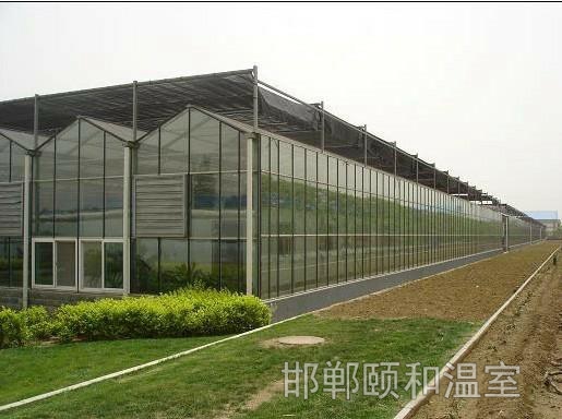 連棟玻璃溫室 (6)