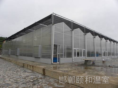 連棟陽光板溫室 (11)