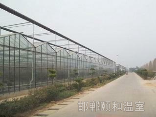連棟玻璃溫室 (3)