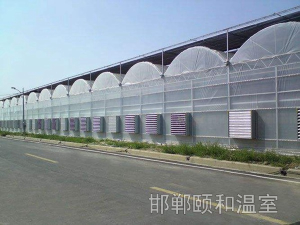 連棟薄膜溫室 (15)