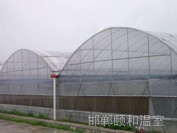 連棟薄膜溫室 (3)